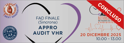APPRO –AUDIT VHR